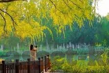 足球开奖比分结果-足球开奖比分结果，激情背后的数据密码